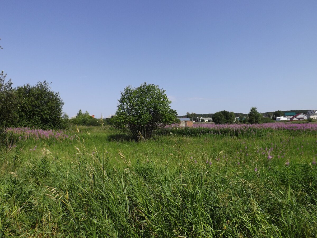 Калиновское болото у пос. Калиновский