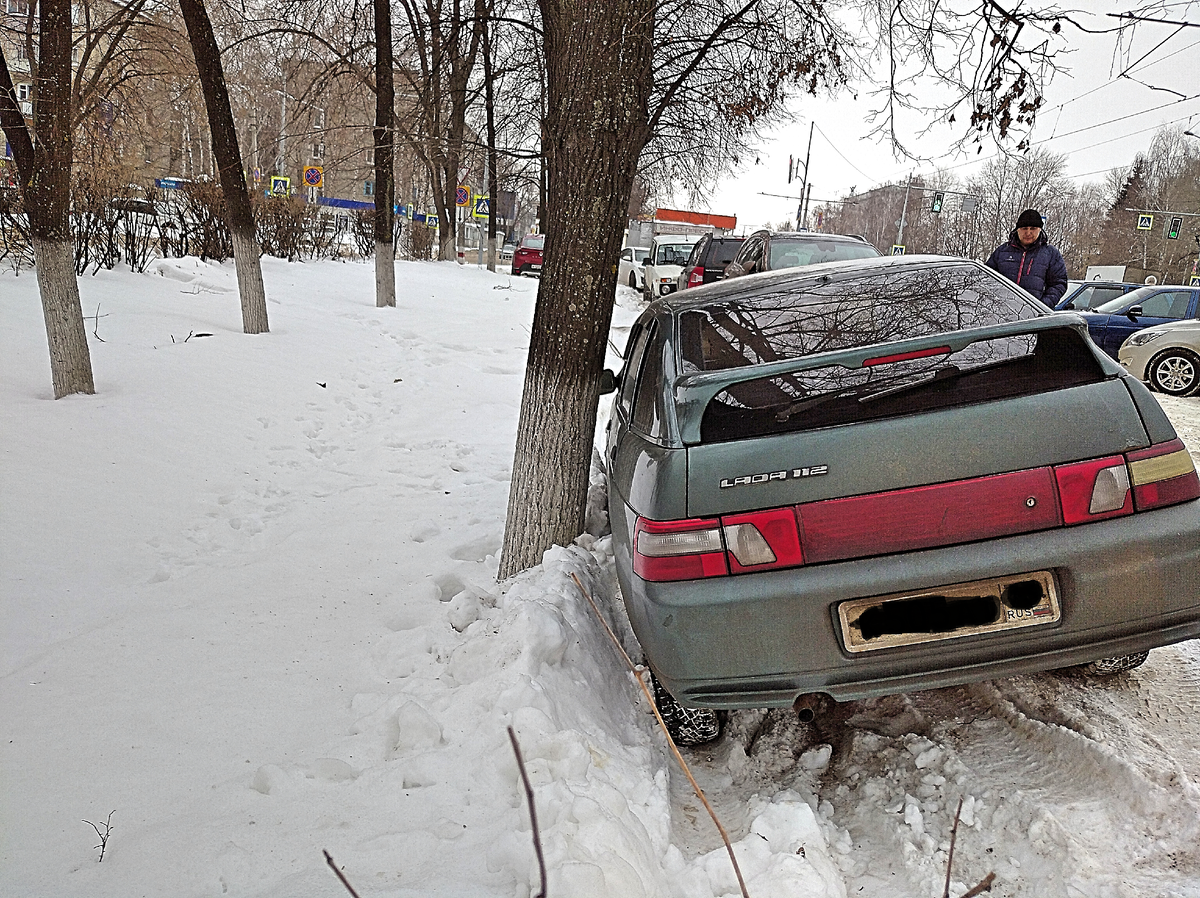 у дерева надежнее