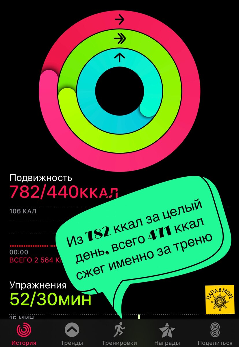 Сжег 471 калорию после кусочка любимого торта (чизкейка) за одну кардио- тренировку | Папа в море | Дзен