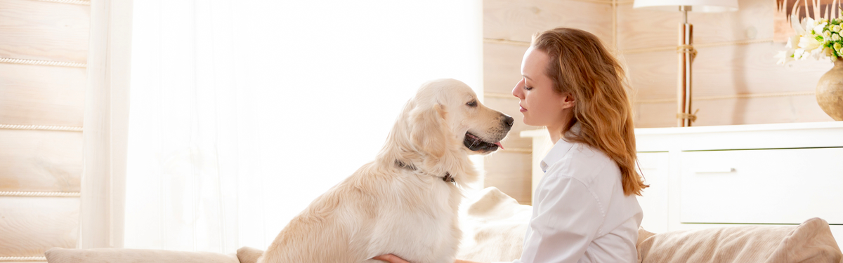Собака с хозяйкой