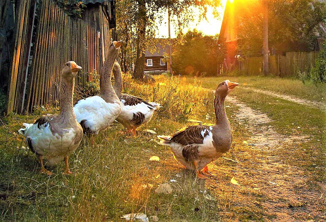 Фото для иллюстрации из интернета