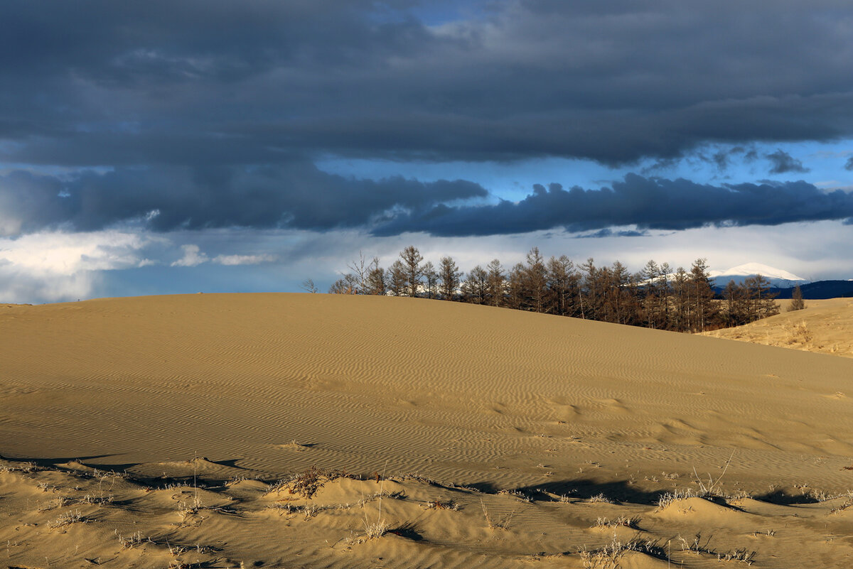 Площадь пустыни 50 квадратных  километров