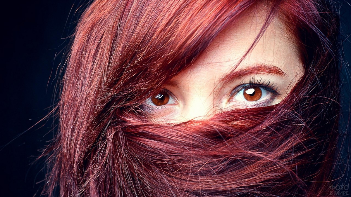 Обложка к статье. Изображение взято из поиска google с разрешением на коммерческое использование.