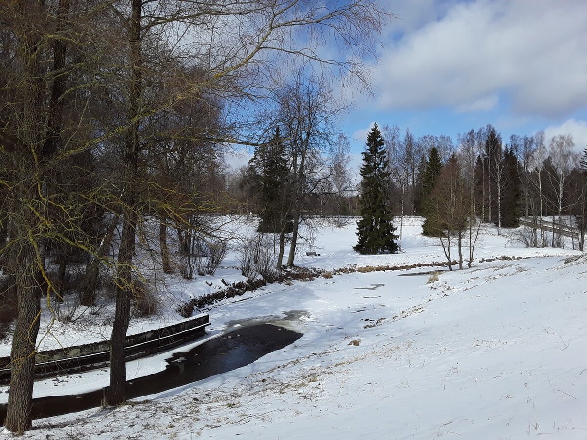 Павловский парк в марте. Фото автора
