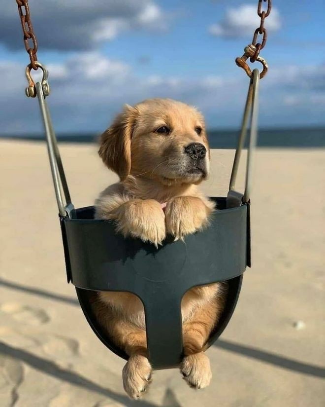 🥰