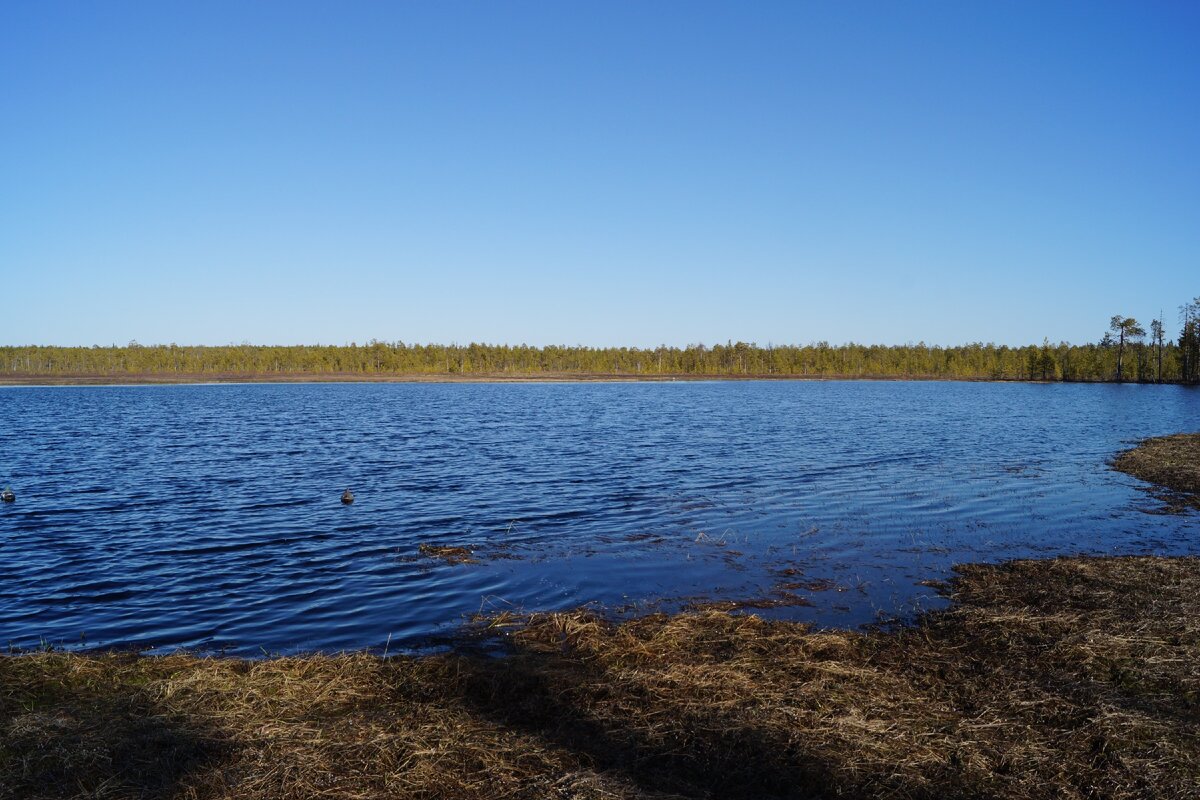 Таёжное озеро