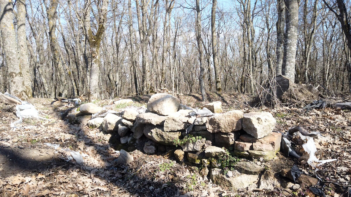 Золотой конь анапа. Найден золотой конь. В анапе нашли золотого коня. Найден золотой конь. Найден золотой конь.