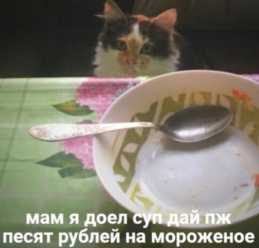 из открытых источников