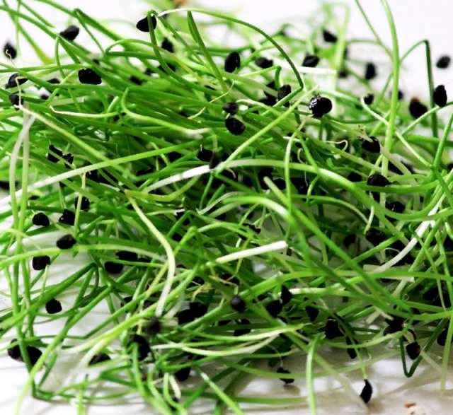 Фото: vk.com/tryn_trava_vn