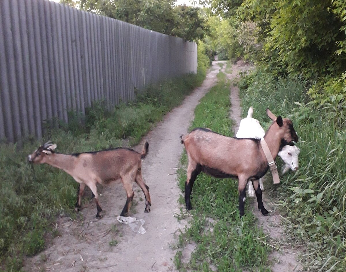 Фото из личных архивов