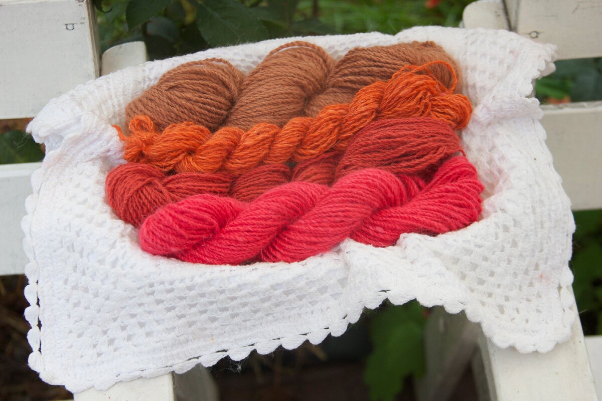 фото Лады Кирисенко с форума Fermer.ru ©