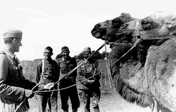 Источник; pinterest