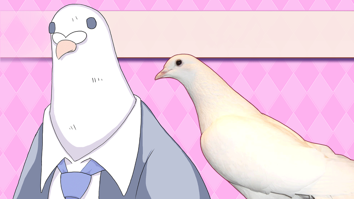 Играть голубей. Визуальная новелла Hatoful boyfriend. Анхель Hatoful boyfriend. Окосан Хатофул бойфренд. Hatoful boyfriend голуби.