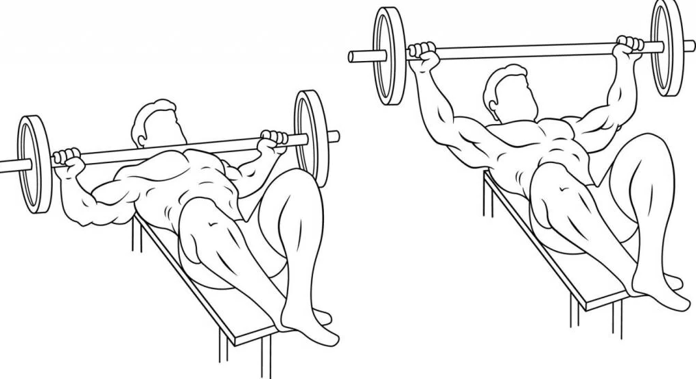 жим "гильотина"