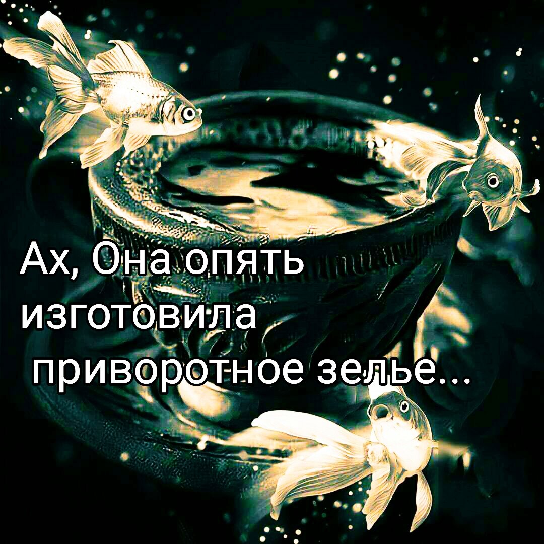 Фото автора статьи