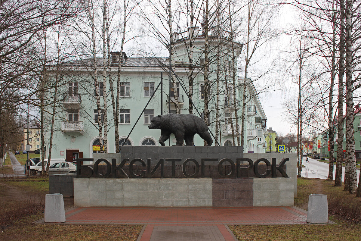 бокситогорск детям