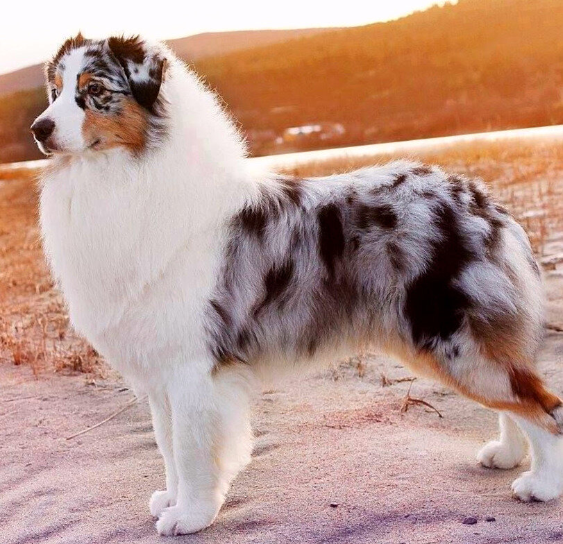 Источник иллюстрации: placepic.ru