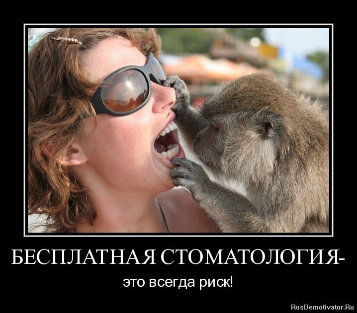 Добавлено из Яндекс.Картинки