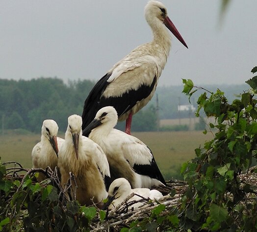 Фото 2012 из семейного архивы Дмитрий