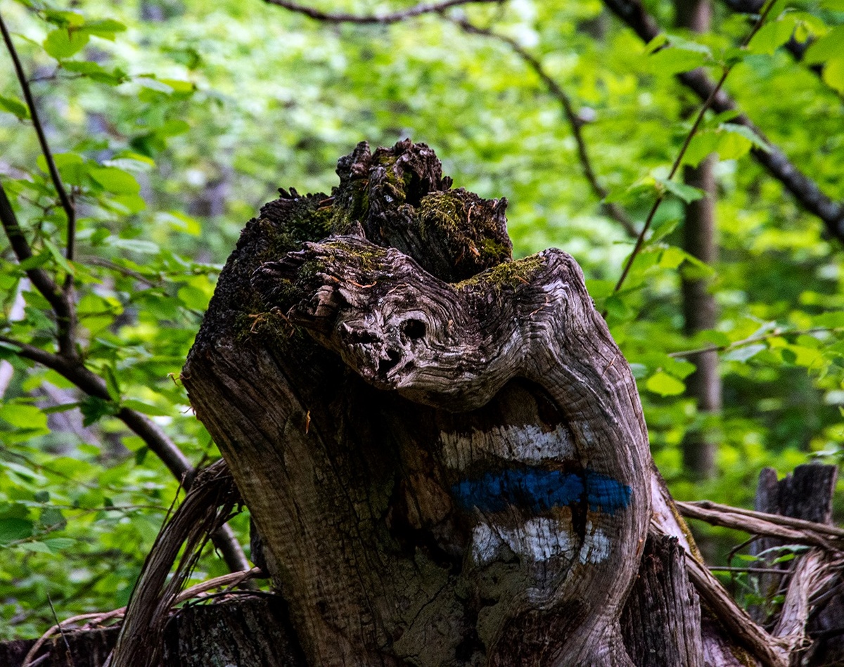 В гости пришли?