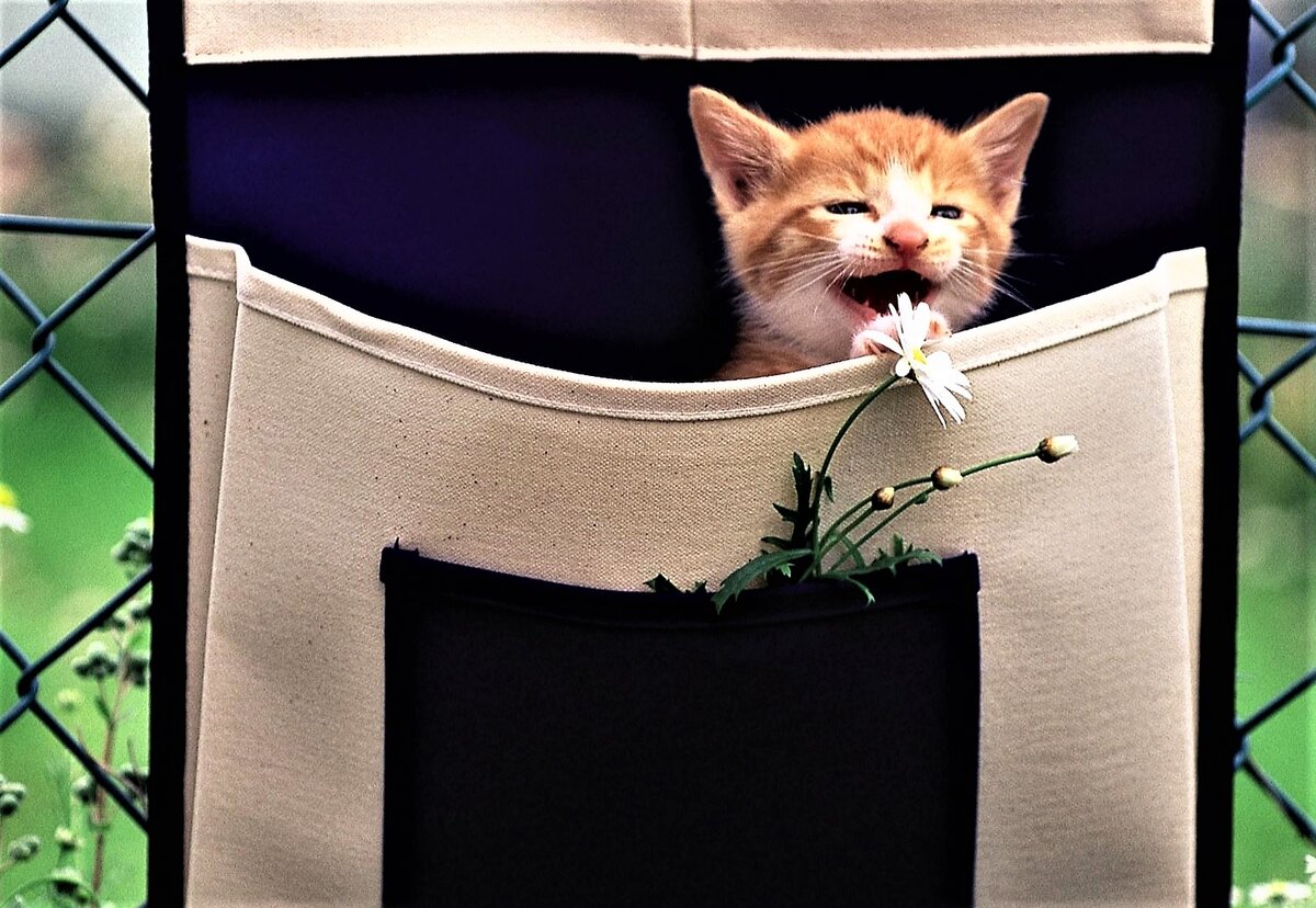 Фото взято из открытого источника Яндекс. Рыжая шпаргалка по экономике.