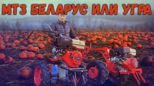 Мотоблок Беларус или Угра? Все сходства и различия мотоблоков ...