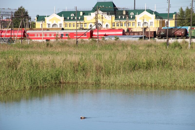 Фото предоставлено Владимиром Шило