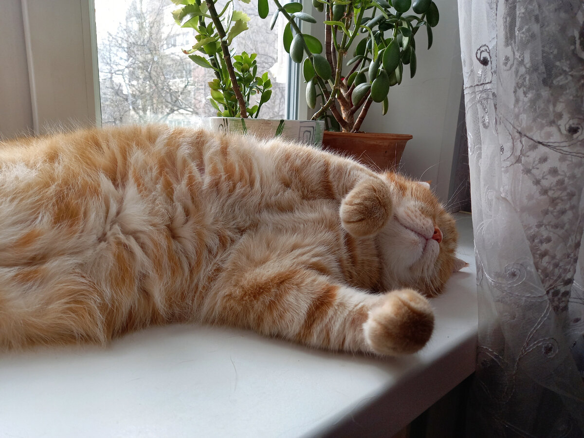 Мне хорошо часами спать везде