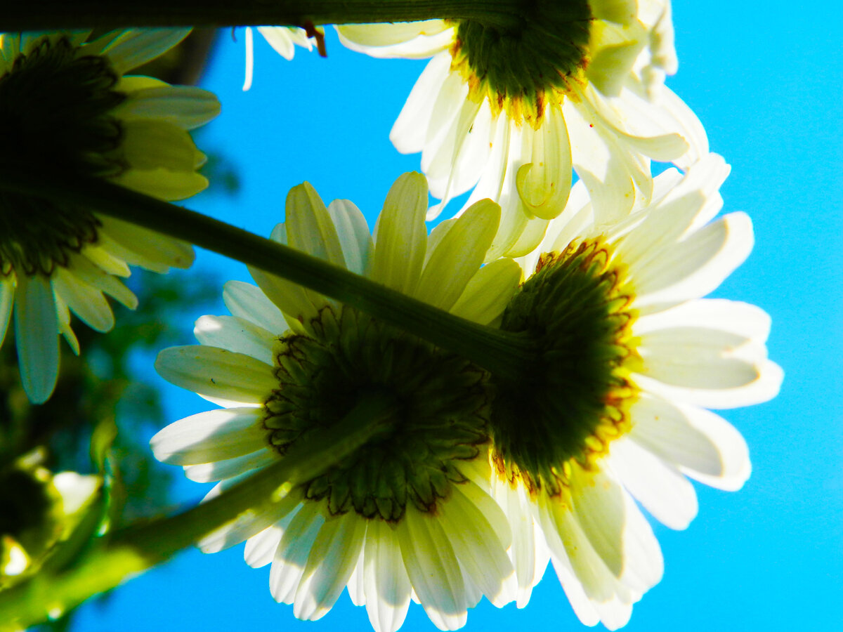 фото автора канала