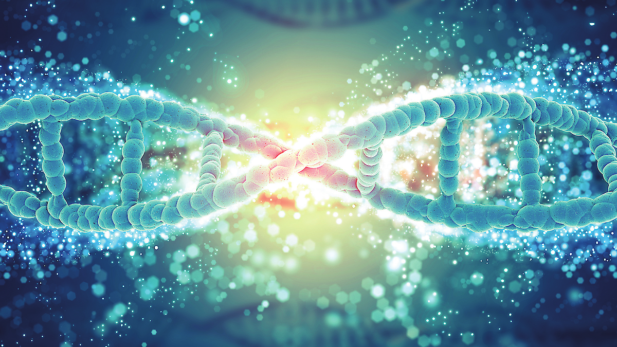 Biochemistry. Дизайн генома. Тета хилинг в Японии. Хромосома человека тета хилинг. THETAHEALING pattern.