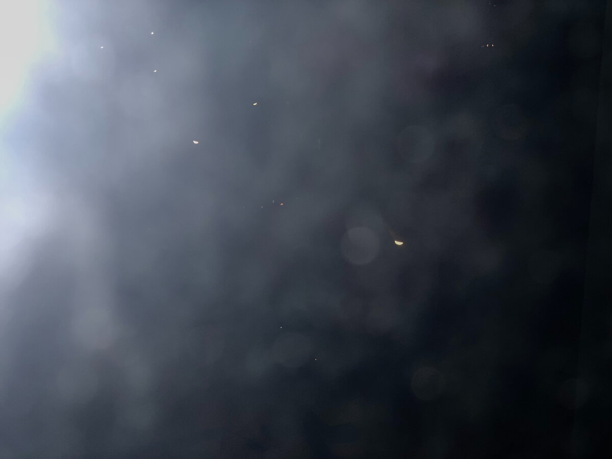 На турецкой декабрьской земле