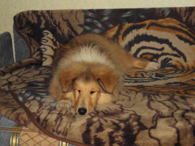 Фото автора