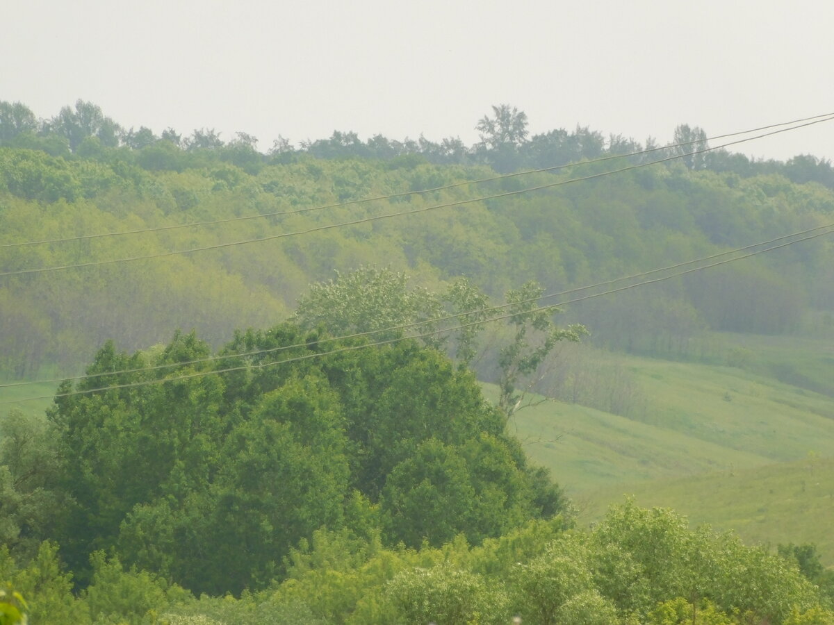 Фото автора канала