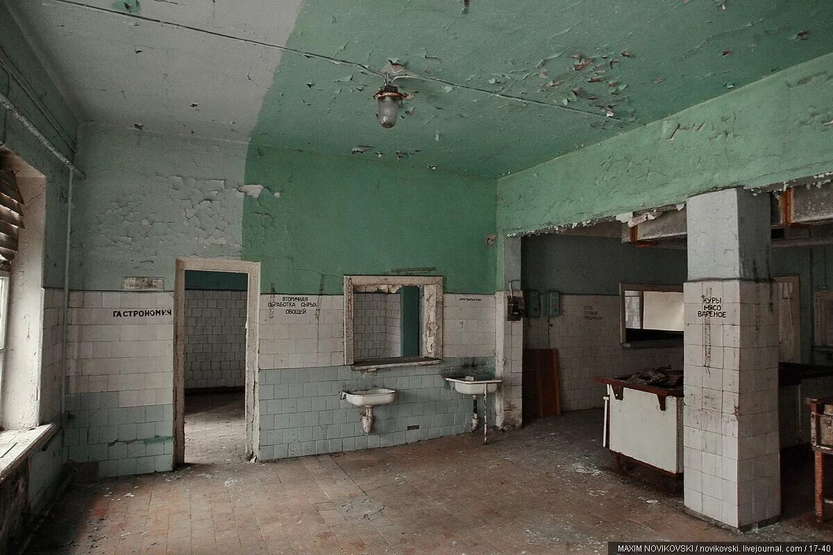 Яндекс картинки