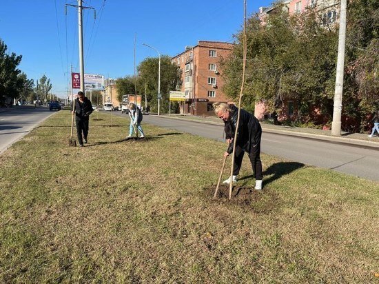     В Астрахани высадили 160 новых деревьев / Пресс-служба администрации Астрахани
