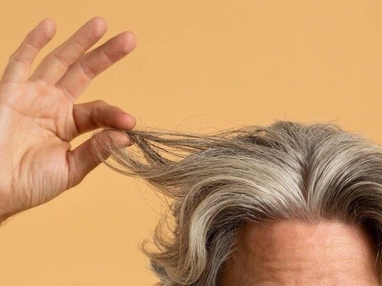     Фото: ru.freepik.com