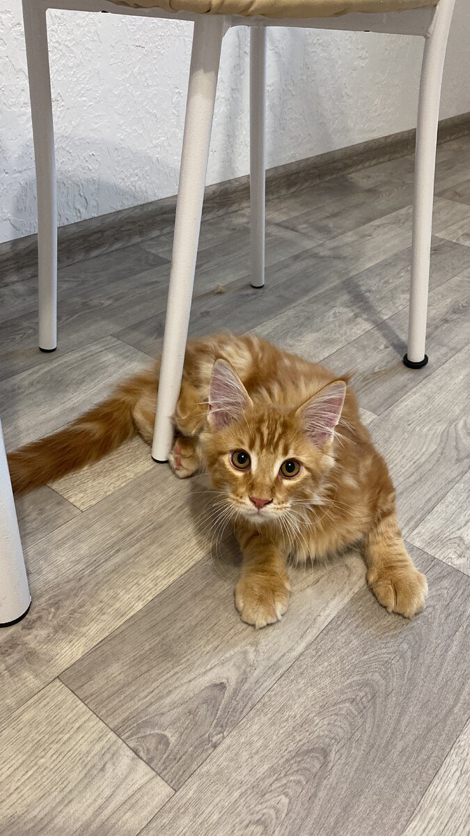 Совсем малыш