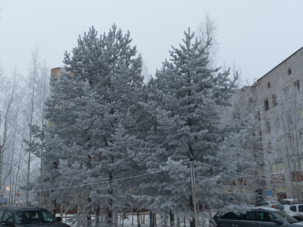 Местами, конечно, красиво... 
