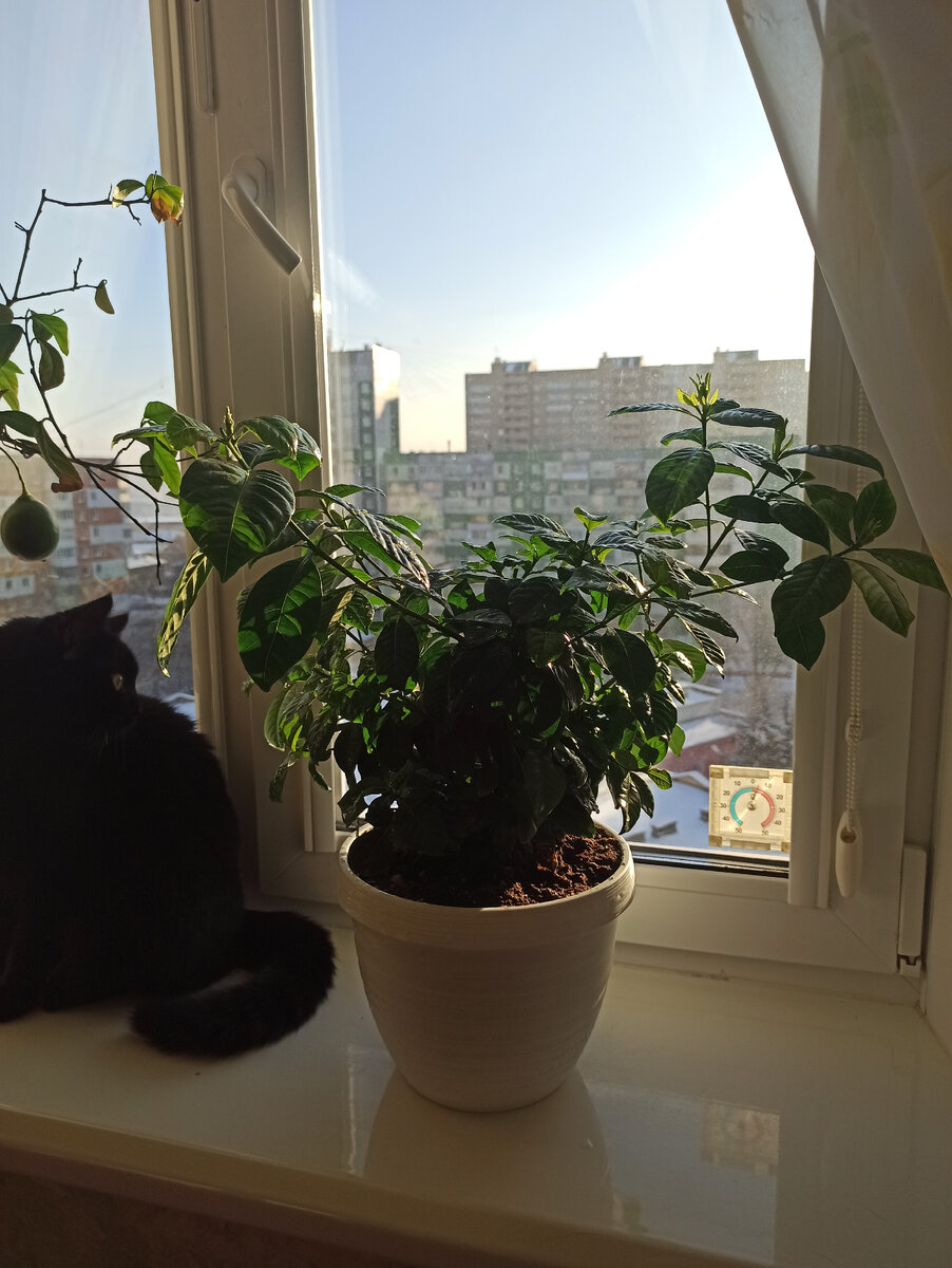 После отличного душа, принимаем солнечные ванны