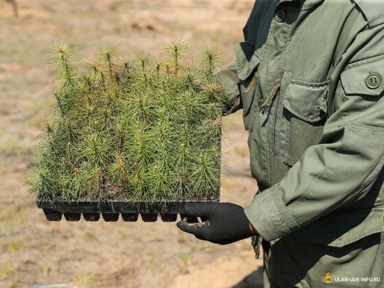     Фото: пресс-служба администрации Улан-Удэ