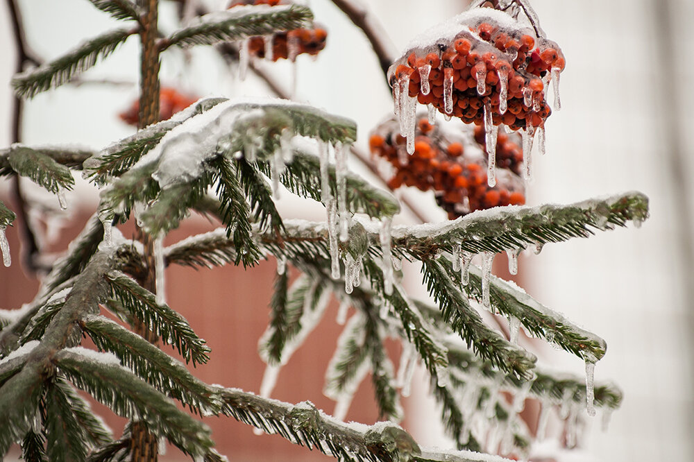    Гололёд. Фото: Shutterstock.com