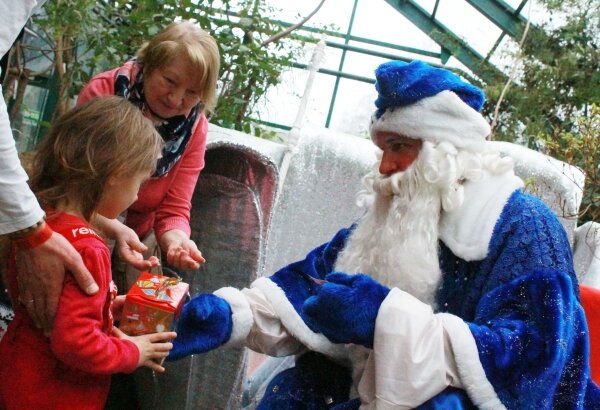 Фото: РИА Новости\Мария Девахина