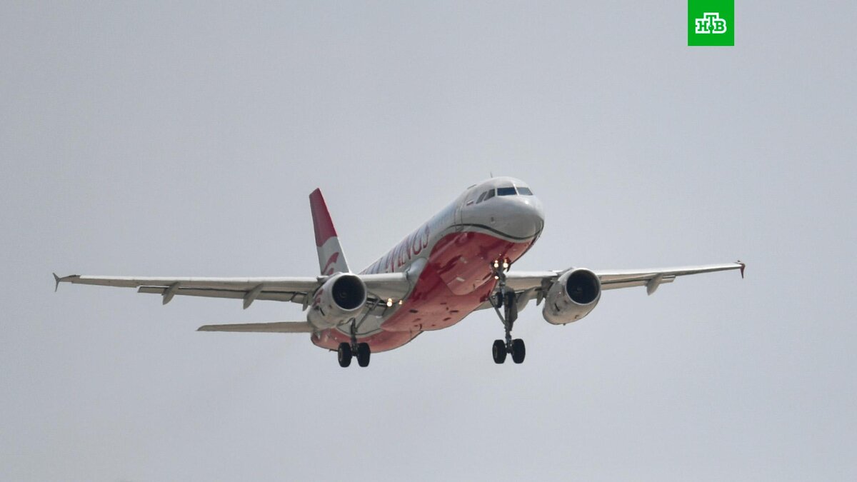    Фото: РИА Новости © 2022, Константин Михальчевский