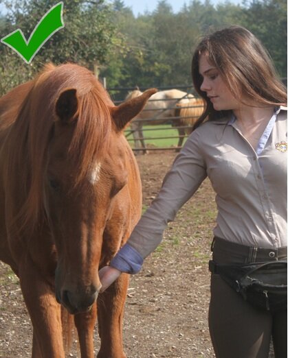 Лакомство полезное для лошадей Хрумчики 250 гр витамины