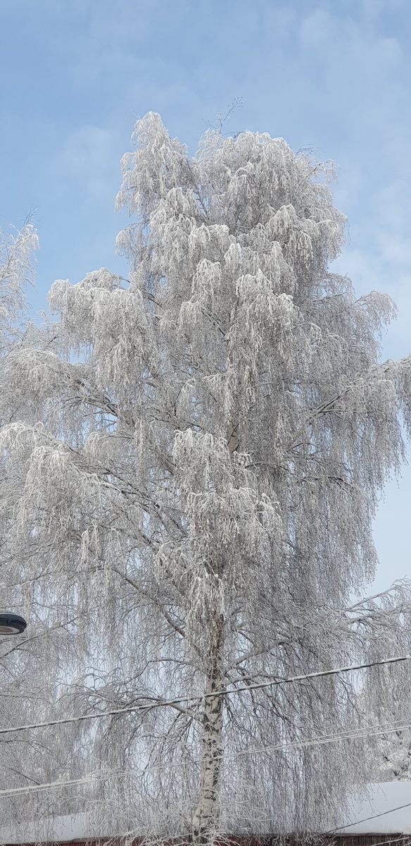 Сказочно