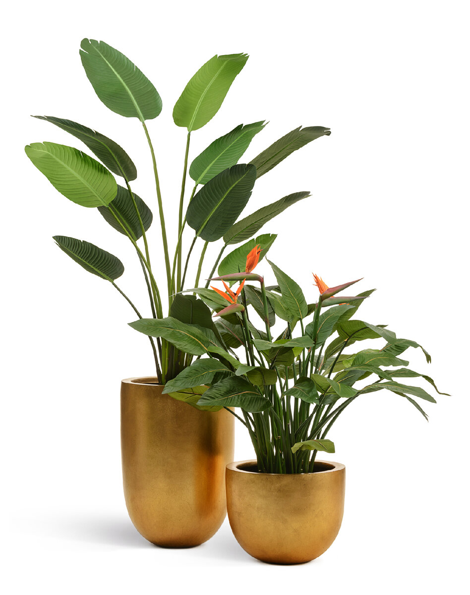 Золотые кашпо Treez Effectory с растениями Treez