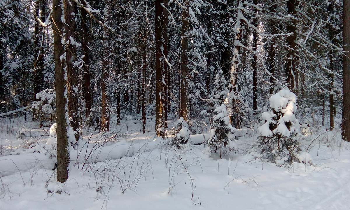 фото из открытых источников интернета 