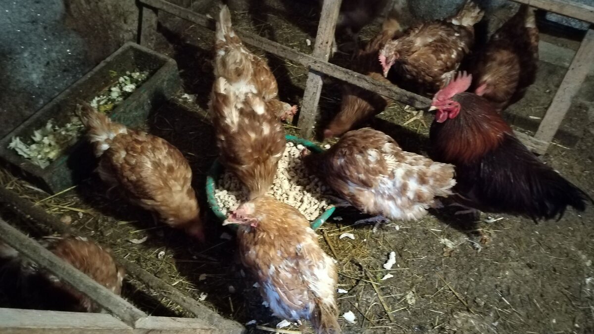 Приметы на 15 января. Чтобы прибыль не ушла соблюдайте эти правила!