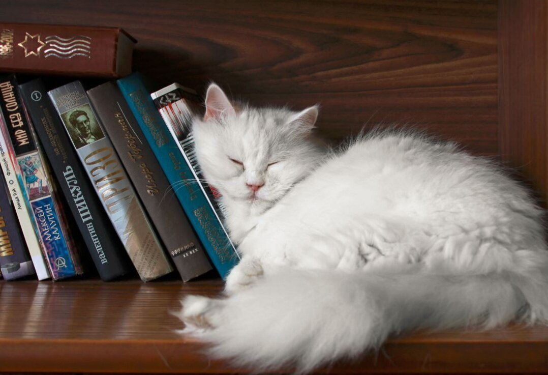 Источник: Яндекс картинки