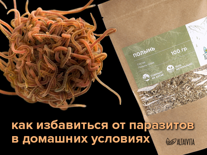 Это после очищения организма паразиты. Как избавиться от паразитов в организме человека. Продукты убивающие паразитов в организме человека. Народные седстваот глистов. Очищение организма от глистов.